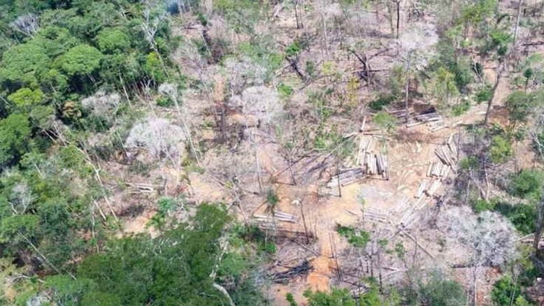 Agricultura intensiva e desmatamento levam planeta 'à beira do precipício', diz ONU