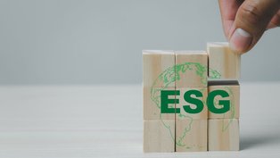 ESG: Uma abordagem estratégica