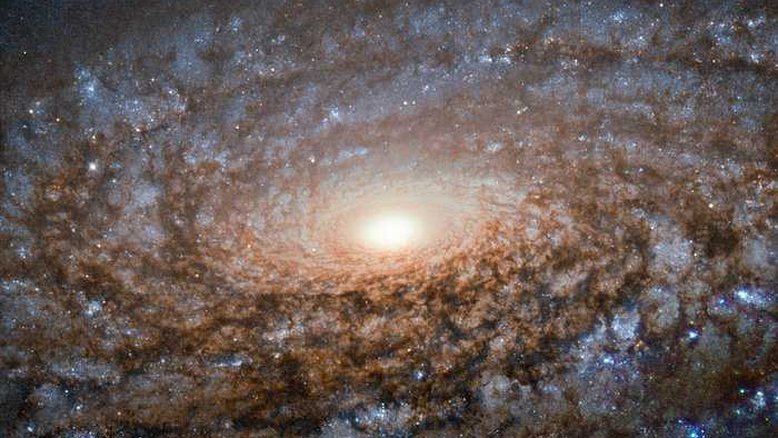 A galáxia espiral NGC 3521 tem uma aparência macia e lanosa, pois é membro de uma classe de galáxias conhecida como espirais floculentas. Como outras galáxias desse tipo, ela carece da estrutura de arco claramente definida para seus braços espirais. Em espirais floculentas, manchas fofas de estrelas e poeira aparecem ao longo dos discos. Cerca de 30% das galáxias compartilham a irregularidade de NGC 3521, enquanto aproximadamente 10% têm suas regiões de formação estelar enroladas em espirais com braços mais definidos. NGC 3521 está localizada a quase 40 milhões de anos-luz, na Constelação de Leão