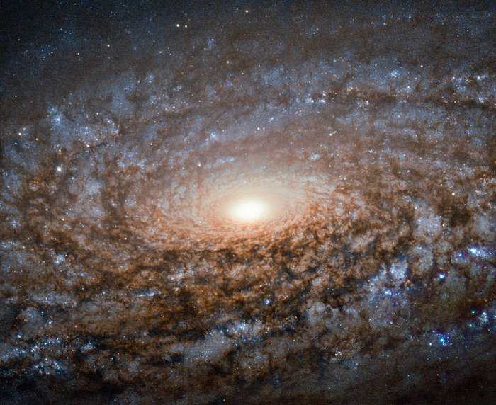 A galáxia espiral NGC 3521 tem uma aparência macia e lanosa, pois é membro de uma classe de galáxias conhecida como espirais floculentas. Como outras galáxias desse tipo, ela carece da estrutura de arco claramente definida para seus braços espirais. Em espirais floculentas, manchas fofas de estrelas e poeira aparecem ao longo dos discos. Cerca de 30% das galáxias compartilham a irregularidade de NGC 3521, enquanto aproximadamente 10% têm suas regiões de formação estelar enroladas em espirais com braços mais definidos. NGC 3521 está localizada a quase 40 milhões de anos-luz, na Constelação de Leão