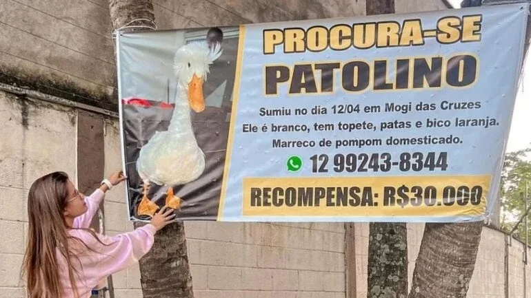 Reprodução