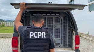 PR: Mãe é presa por suspeita de tráfico de drogas e expor filhos à cocaína