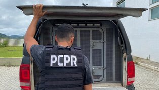 PR: Mãe é presa por suspeita de tráfico de drogas e expor filhos à cocaína