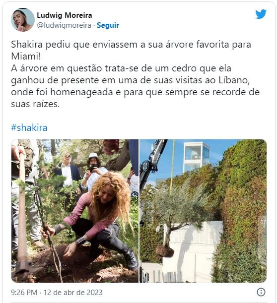 Shakira retira árvore da casa que morava com Piqué e diverte internet: 'Me identifico'