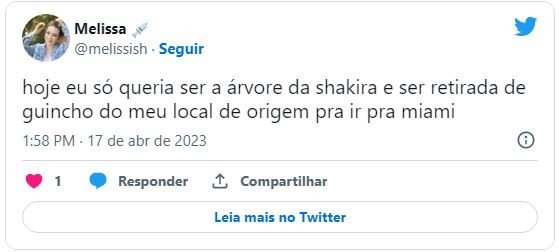 Shakira retira árvore da casa que morava com Piqué e diverte internet: 'Me identifico'