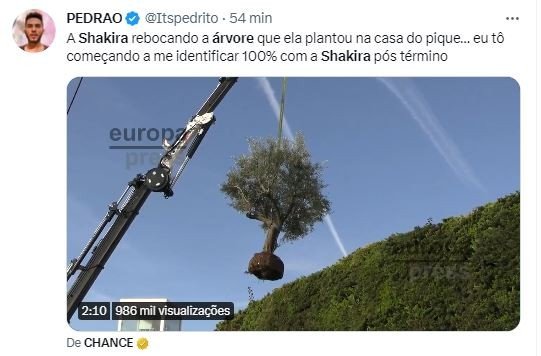 Shakira retira árvore da casa que morava com Piqué e diverte internet: 'Me identifico'