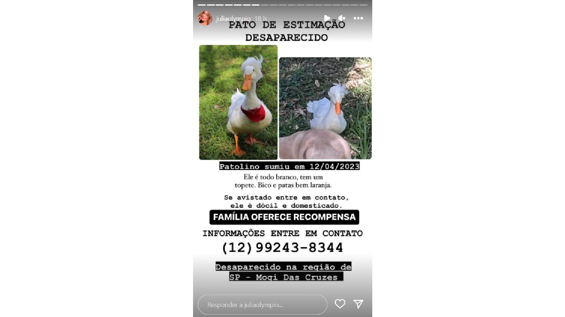 Influenciadora diz que pato de estimação foi furtado dentro de condomínio: ‘Estou vivendo um pesadelo’ 4 Influenciadora diz que pato de estimação foi furtado dentro de condomínio: ‘Estou vivendo um pesadelo’