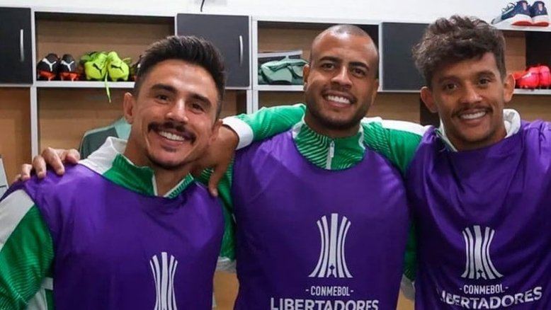 Cesar Greco/ Palmeiras