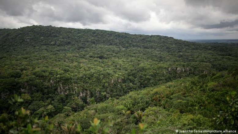 Colômbia: 4 crianças sobrevivem 16 dias perdidas na selva