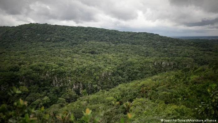 Colômbia: 4 crianças sobrevivem 16 dias na selva após queda de avião