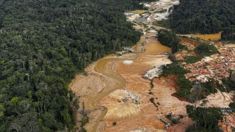 Desmatamento da floresta amazônica teve queda de 50% em 2023