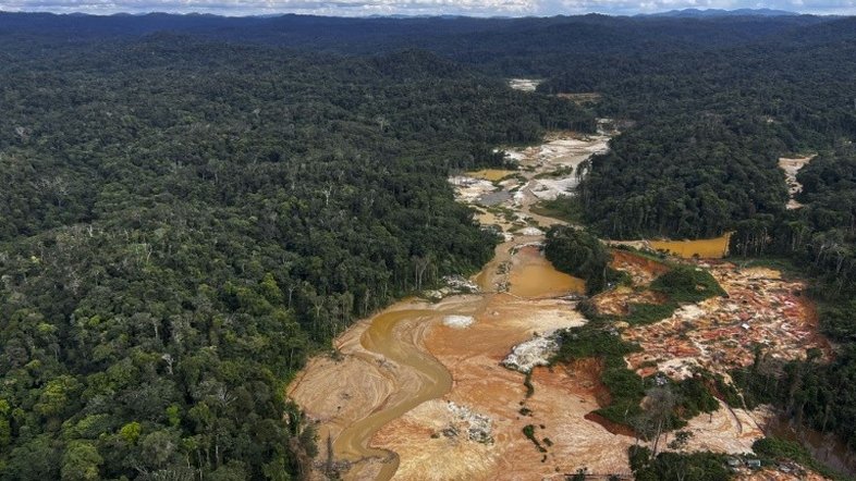 Oito corpos são encontrados em reserva indígena Yanomami