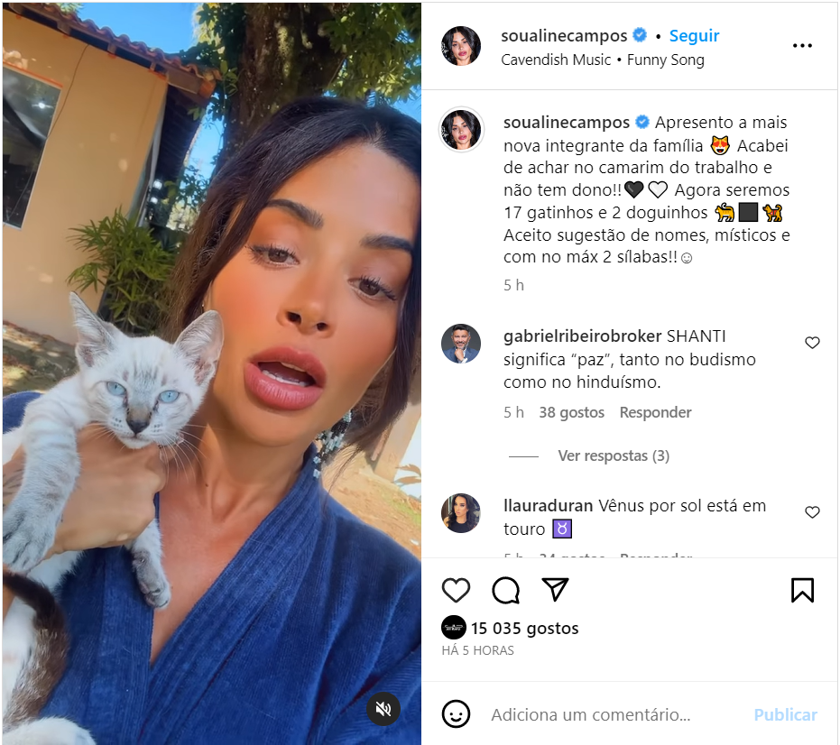 Aline Campos adota novo pet e já soma 17 gatinhos em casa: ‘Achei’ 2 Aline Campos adota novo pet e já soma 17 gatinhos em casa: ‘Achei’
