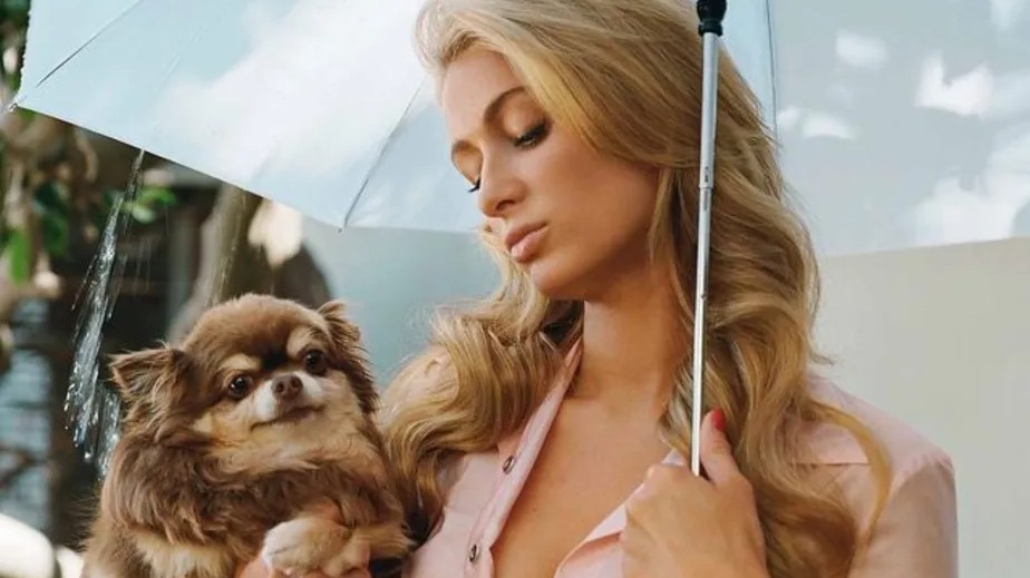 Paris Hilton lamenta morte de sua cachorrinha