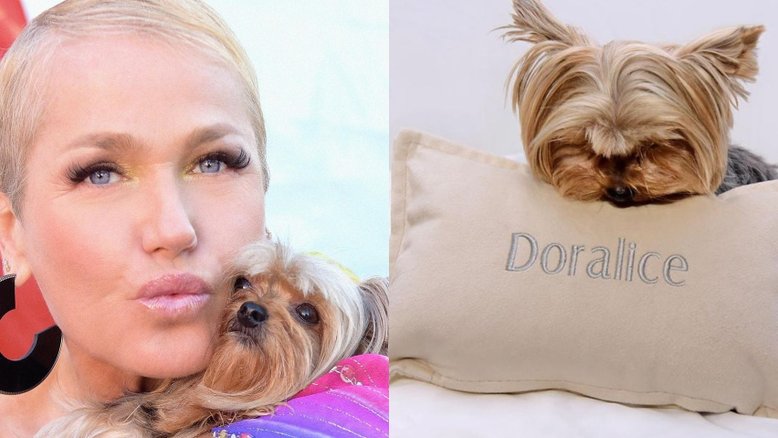 Detonada por levar cachorrinha em velório de Rita Lee, Xuxa já foi criticada outras vezes por conta do pet