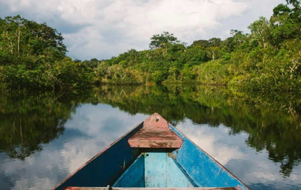 Amazonas Divulgação
