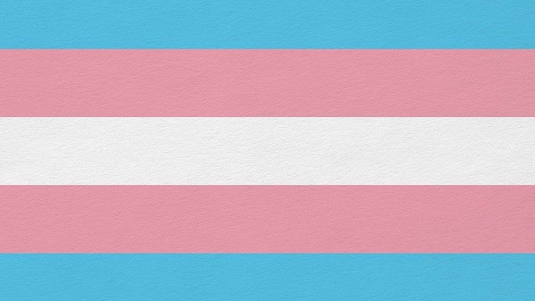 Entidades reivindicam políticas públicas contra a transfobia