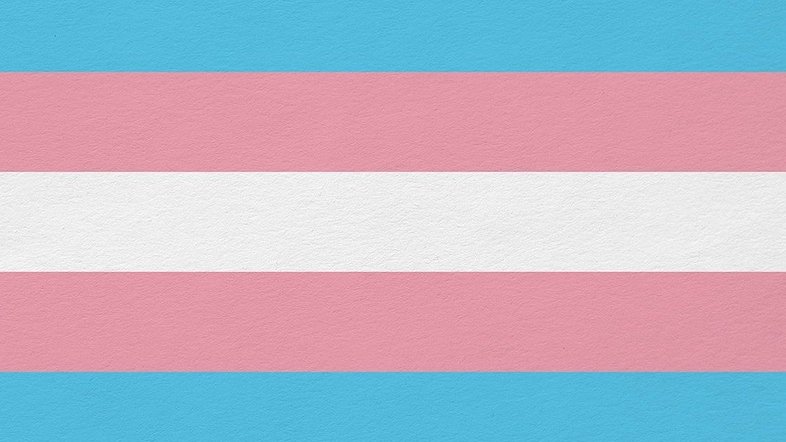 Entidades reivindicam políticas públicas contra a transfobia