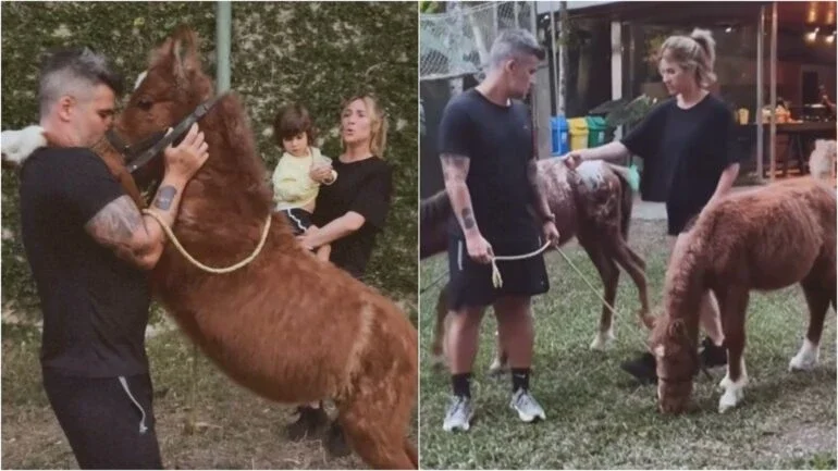 Bruno Gagliasso ganha presente inusitado da esposa, Giovanna Ewbank: 