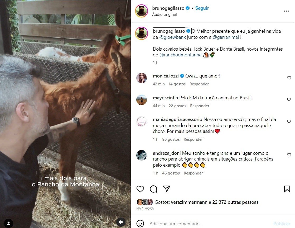 Bruno Gagliasso ganha presente inusitado da esposa, Giovanna Ewbank: 'Melhor que já ganhei na vida' 2 Bruno Gagliasso ganha presente inusitado da esposa, Giovanna Ewbank: 'Melhor que já ganhei na vida'