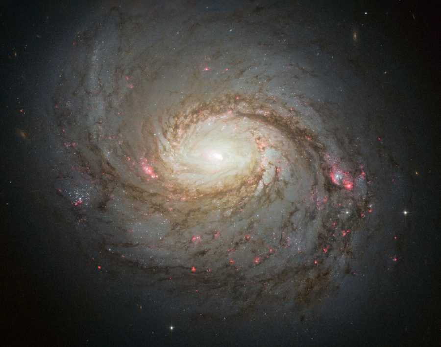 A galáxia espiral M77 fica a 47 milhões de anos-luz de distância, na direção da Constelação de Cetus. Denominado NGC 1068, o seu núcleo compacto e brilhante é bastante estudado para elucidar os mistérios dos buracos negros supermassivos em galáxias do tipo Seyfert ativas, que são galáxias cujos núcleos são muito luminosos. Nesta imagem, feita pelo Telescópio Espacial Hubble, vê-se seus braços espirais sinuosos, traçados por nuvens de poeira escura e regiões de formação estelar tingidas de vermelho