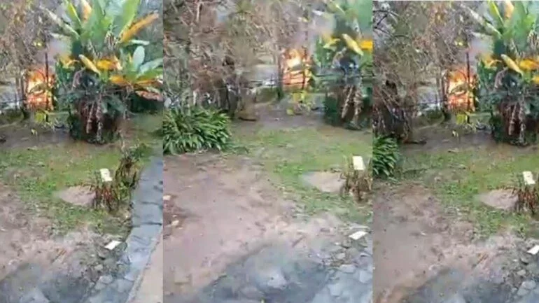 SP: Empresário sequestrado sai amarrado de carro incendiado e se joga em córrego com corpo em chamas