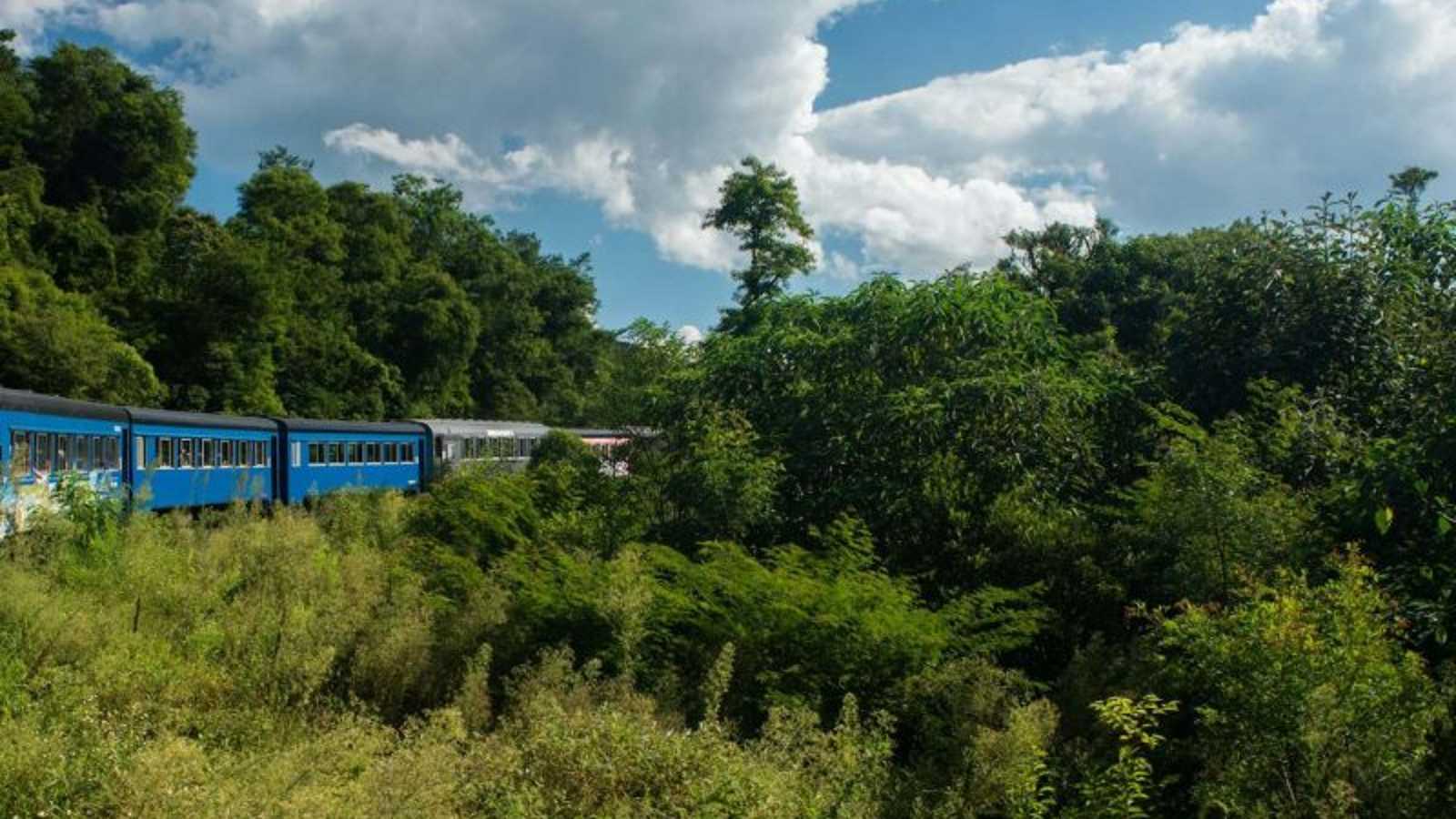 Trem turístico ficou parado na Serra do Mar, no Paraná, por oito horas
