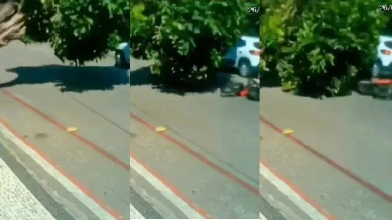 CE: árvore cai em cima de motociclista; veja vídeo