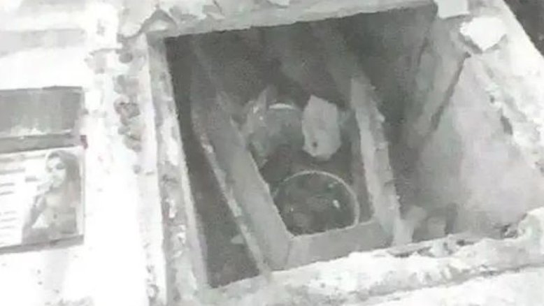 Túmulo violado