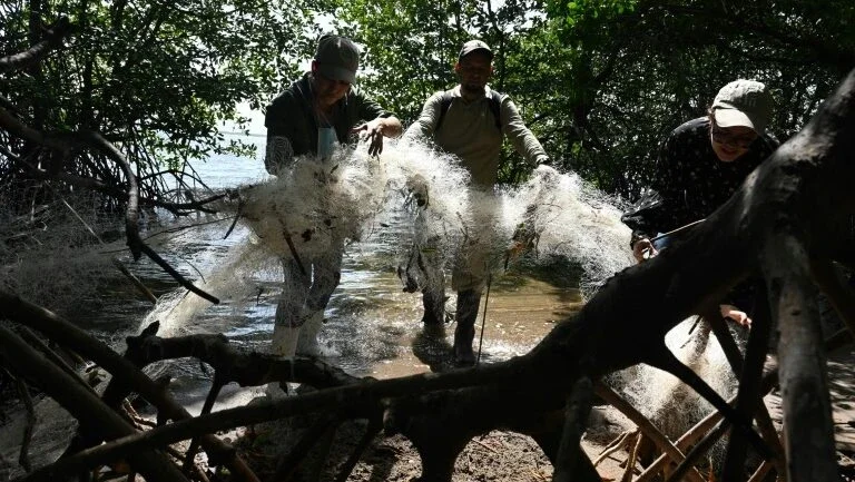 Lixo cobre santuário das aves marítimas nas ilhas do Golfo de Fonseca