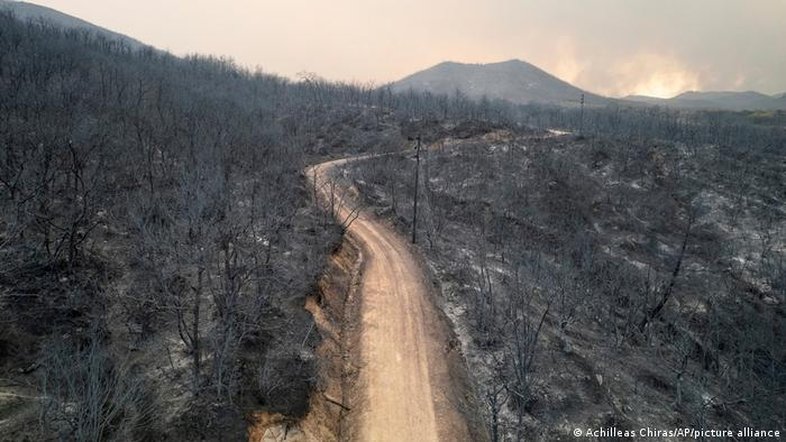 Gregos culpam migrantes em maior incêndio da história da UE