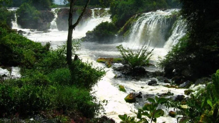 Helicóptero com 3 pessoas desaparece após sair de terra indígena na Amazônia