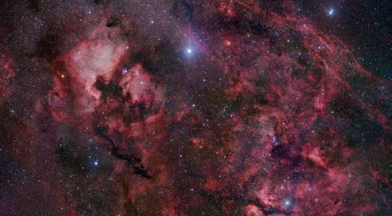 A estrela supergigante, brilhante e quente Deneb está no centro desta linda paisagem celeste. O mosaico desta imagem compreende 12 graus no extremo norte da Constelação do Cisne. Repleta de estrelas e nuvens de gás luminosas ao longo do plano da Via Láctea, este cisne celeste é também o lar da escura e obscura Nebulosa do Saco de Carvão do Norte, que se estende de Deneb em direção à parte inferior e central da imagem. O brilho avermelhado de NGC 7000, a Nebulosa da América do Norte, e de IC 5070, a Nebulosa do Pelicano, estão no canto superior esquerdo, mas muitas outras nebulosas e aglomerados de estrelas são identificáveis. Deneb é a estrela Alfa da Constelação do Cisne, sendo muito conhecida pelos observadores do céu no Hemisfério Norte