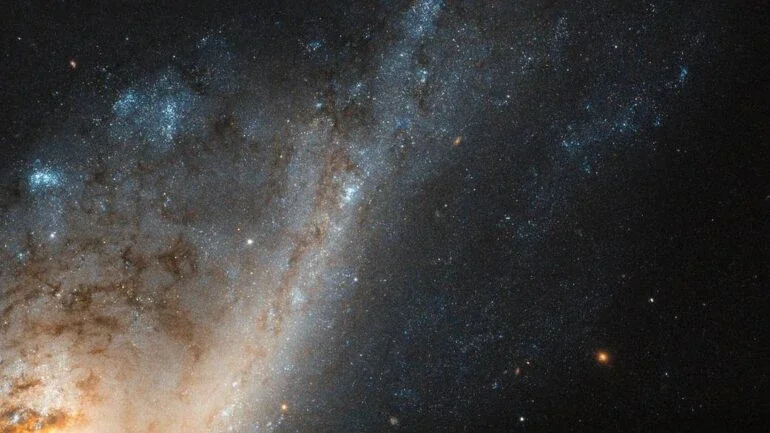 Embora a formação e a evolução das galáxias ainda não estejam totalmente compreendidas, as condições que vemos dentro de certas galáxias — como as chamadas galáxias starburst — podem nos dizer muito sobre como elas evoluíram ao longo do tempo. Esse tipo de galáxia contém uma região (ou muitas regiões) onde as estrelas estão se formando em uma taxa tão grande, que estão consumindo seu suprimento de gás mais rapidamente do que pode ser restabelecido. Nesta imagem, vê-se NGC 4536, uma dessas galáxias, localizada a cerca de 50 milhões de anos-luz de distância, na direção da Constelação de Virgem