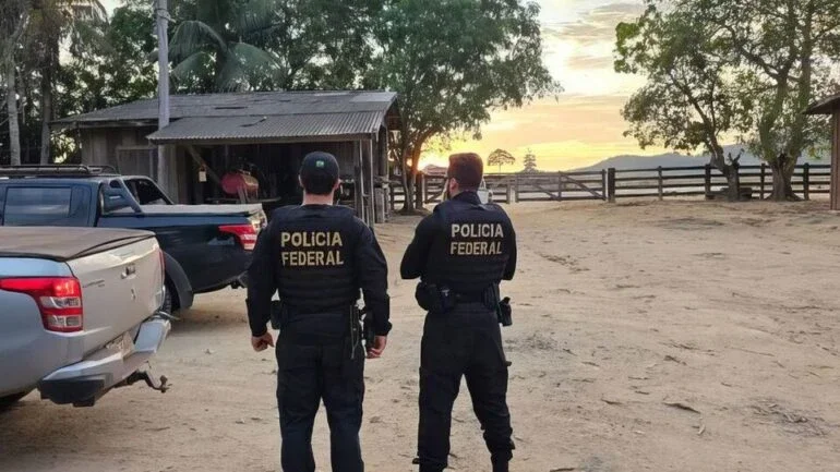 PF combate desmatamento para criação de gado na floresta amazônica