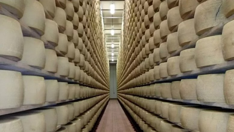 Italiano morre soterrado por toneladas de queijo Grana Padano