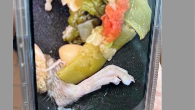 Homem processa restaurante após ‘encontrar pé de rato em uma tigela de sopa’