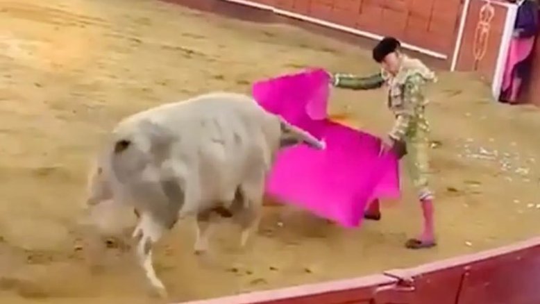 Vídeo mostra momento em que toureiro leva a pior na Espanha