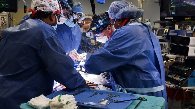 Médicos americanos realizam 2º transplante de coração de porco em humanos
