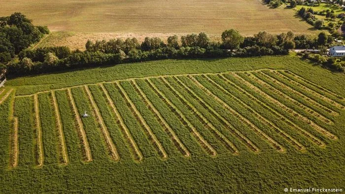 Agricultura regenerativa é opção contra mudanças climáticas