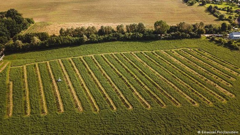 Agricultura regenerativa é opção contra mudanças climáticas