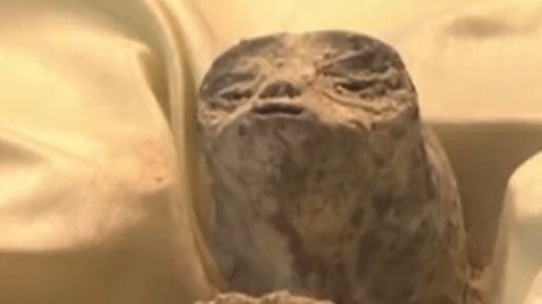 Vídeo: corpos de supostos aliens de 1.000 anos são exibidos no parlamento mexicano