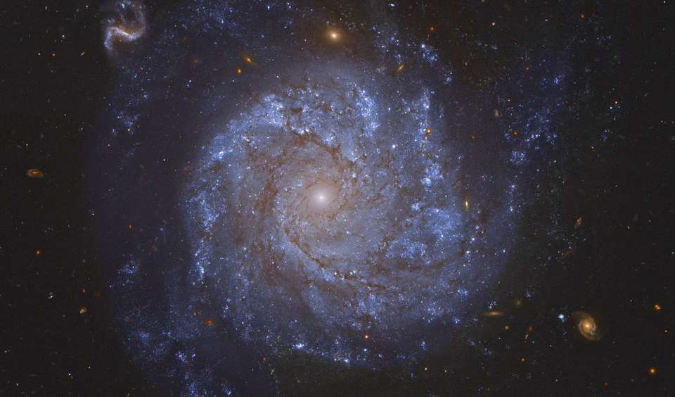 NGC 1309 é uma galáxia espiral que fica a cerca de 100 milhões de anos-luz de distância, na direção da Constelação de Eridanus. Ela abrange cerca de 30 mil anos-luz, tendo cerca de um terço do tamanho da nossa Via Láctea. Aglomerados azulados de estrelas jovens e faixas de poeira traçam os braços espirais de NGC 1309, circundando uma população estelar amarelada mais antiga no seu núcleo. Nesta imagem, ao fundo, há ainda diversas galáxias mais distantes que também foram registradas pelo Telescópio Espacial Hubble