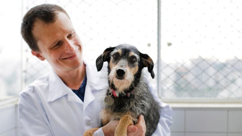 Dr Pet é o dono da Estopinha, que já está com 14 anos