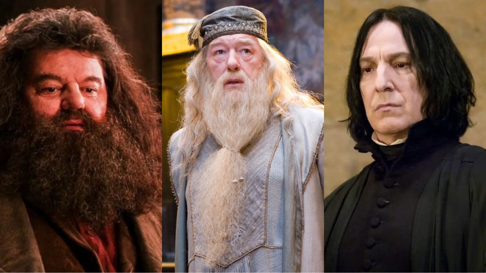 Além de Michael Gambon, o Dumbledore, saiba outros artistas de 'Harry Potter' que já morreram