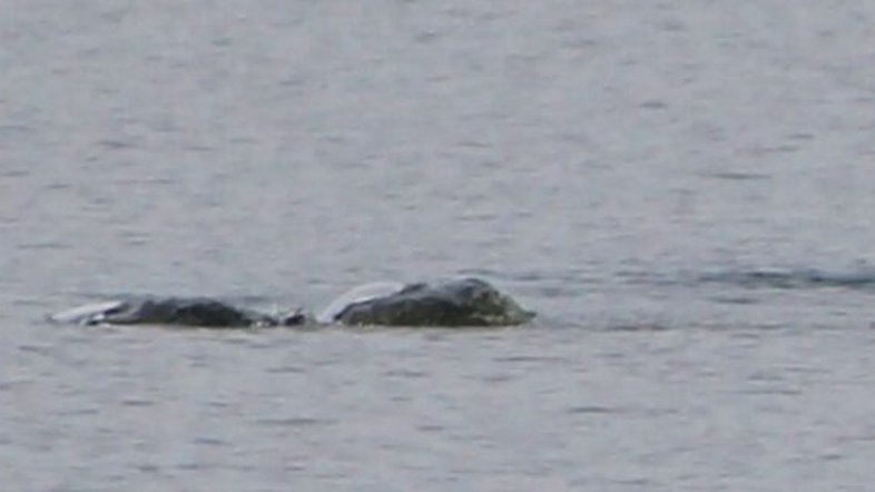 Novo ‘avistamento’ do monstro do Lago Ness capturado em fotos ‘emocionantes’