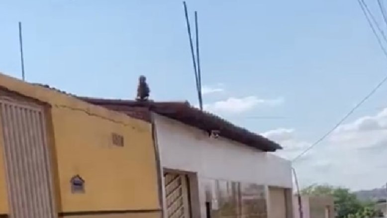 Reprodução das Redes Sociais