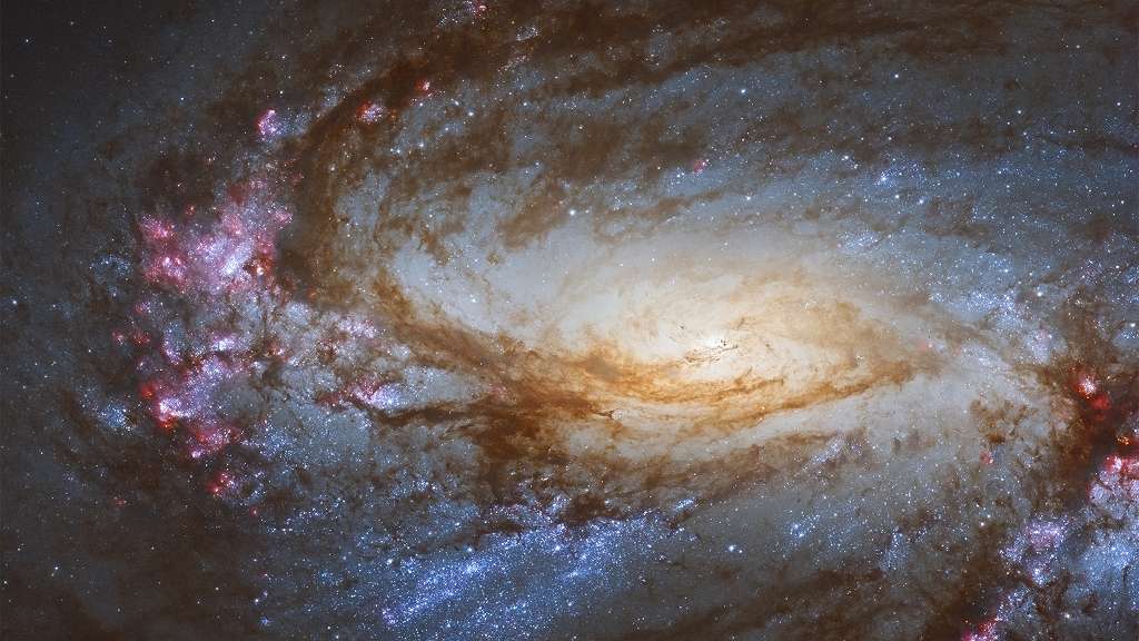 A grande e bela galáxia espiral Messier 66 fica a apenas 35 milhões de anos-luz de distância, na direção da Constelação de Leão. Com cerca de 100 mil anos-luz de diâmetro, ela é semelhante em tamanho à Via Láctea. O seu disco fica dramaticamente inclinado em relação à nossa linha de visão. Ao redor do seu núcleo brilhante, o provável lar de um buraco negro supermassivo, faixas de poeira e jovens aglomerados de estrelas azuis formam braços espirais pontilhados pelo brilho rosado de regiões de formação de estrelas. Messier 66, também conhecida como NGC 3627, é a mais brilhante das três galáxias do Trio do Leão, que interage gravitacionalmente