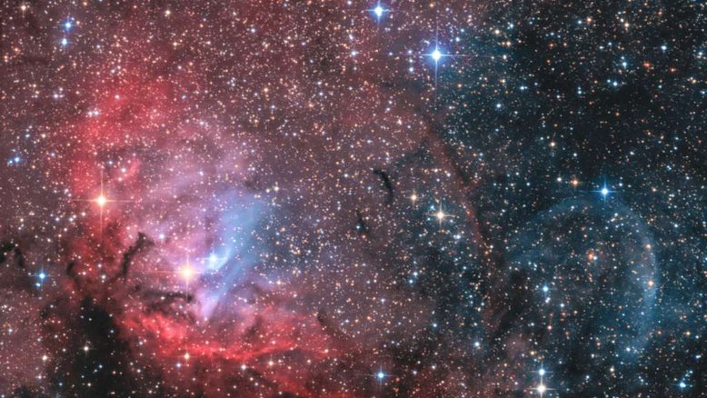 Enquadrando uma região de emissão brilhante, esta imagem telescópica destaca o plano da nossa galáxia, a Via Láctea, em direção à Constelação do Cisne, que é muito rica em nebulosas. Popularmente chamada de Nebulosa da Tulipa, a nuvem avermelhada de gás e poeira interestelar também é identificada como Sh2-101. Com quase 70 anos-luz de diâmetro, a complexa Nebulosa da Tulipa está a cerca de 8 mil anos-luz de distância. A radiação ultravioleta de jovens estrelas energéticas ioniza os átomos e alimenta a sua emissão