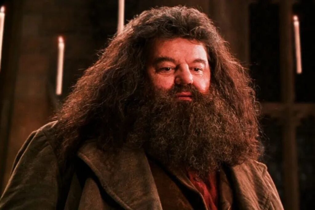 Robbie Coltrane deu vida ao personagem Hagrid